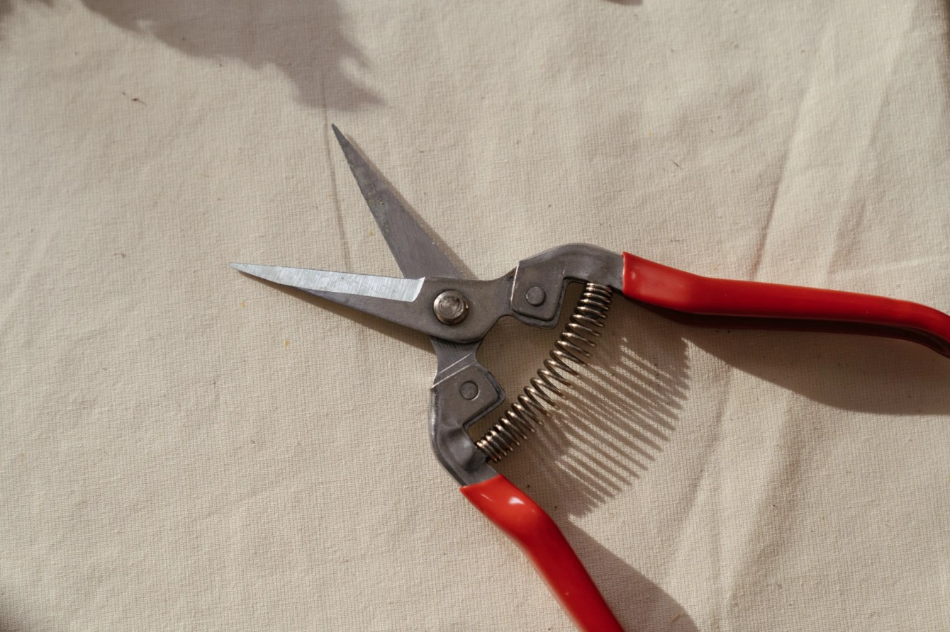 Deleting Old Post Revisions in WordPress with WP-CLI