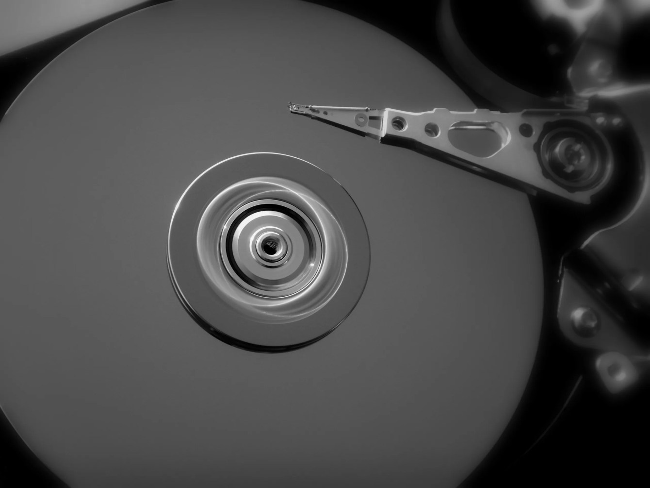 Getting WordPress Database Size via WP-CLI