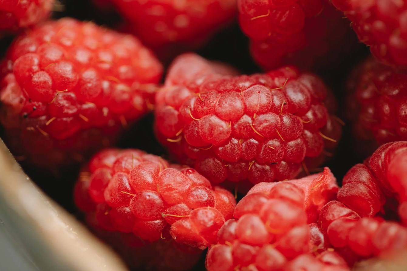 Raspberry Pi: February 2021